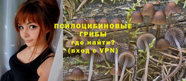 ПСИЛОЦИБИНОВЫЕ ГРИБЫ Зерноград