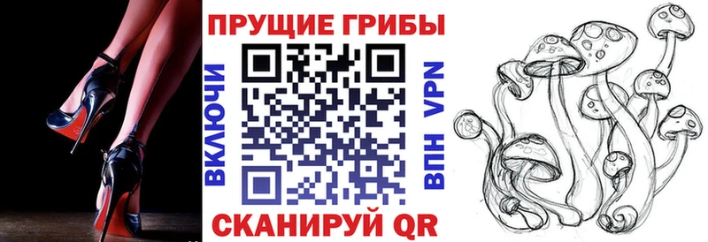 Псилоцибиновые грибы мицелий  где купить наркотик  Истра 