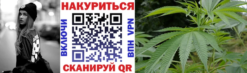 Бошки марихуана план  площадка состав  Истра 